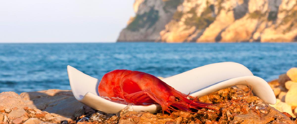 Abahana Villas - Gastronomic and commercial fair of Moraira. Abahana Villas - Gastronomic and commercial fair of Moraira.