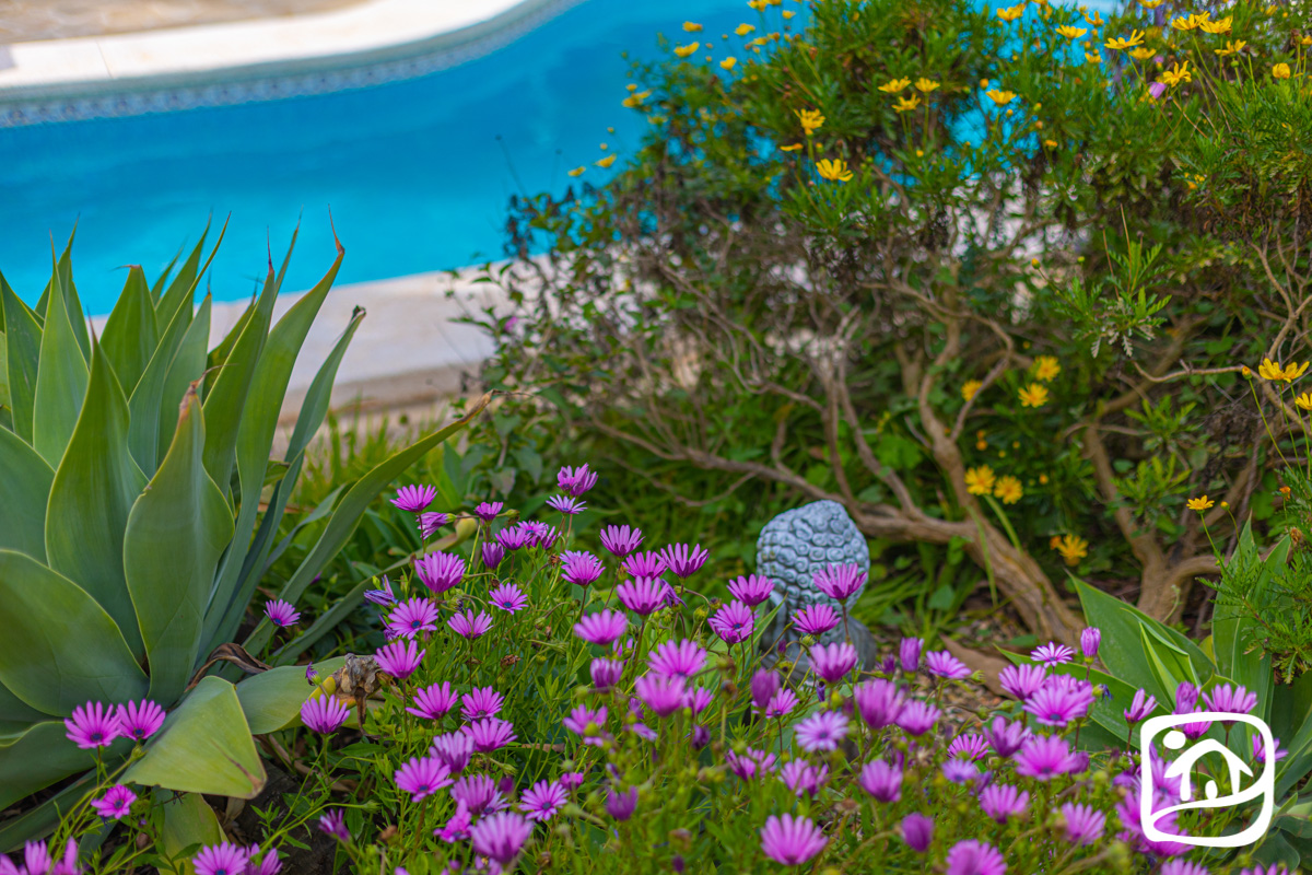 Alquiler villa BELLA COSTA en calpe Alquiler villa BELLA COSTA en calpe