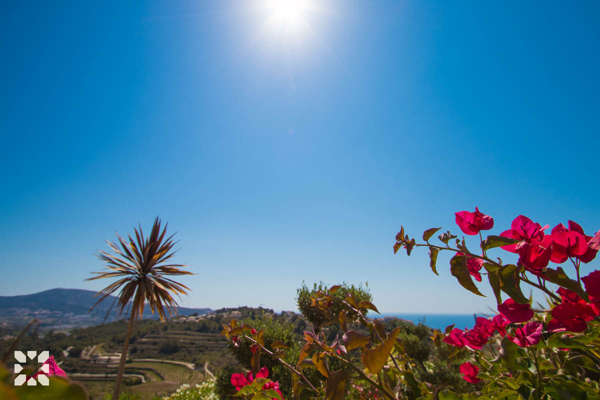 Imagen 25 - LAS FLORES