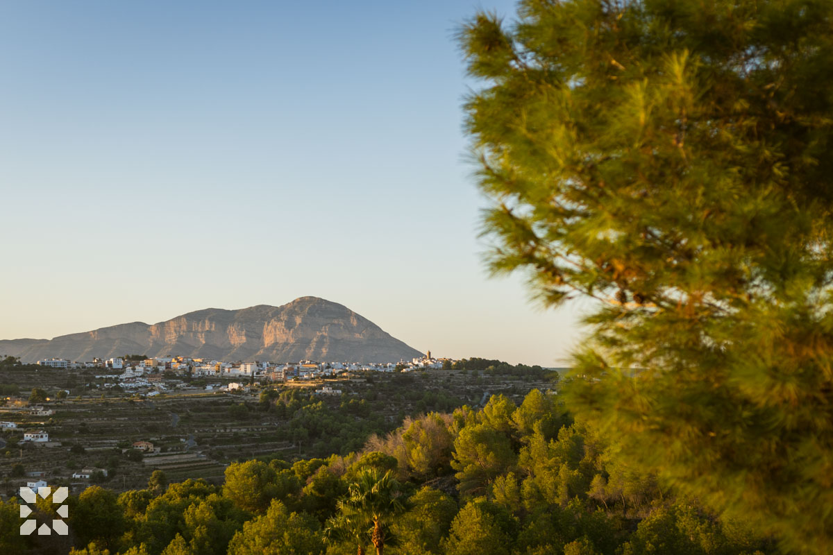 Imagen 25 - MOONLIGHT