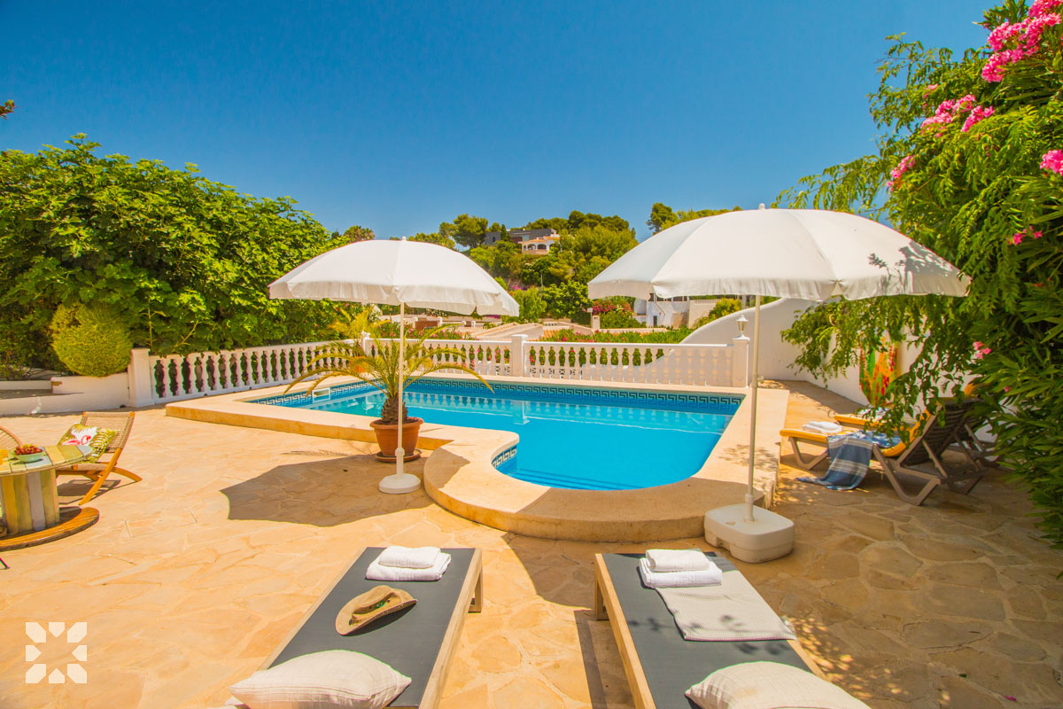 Imagen 0 - PURA VIDA