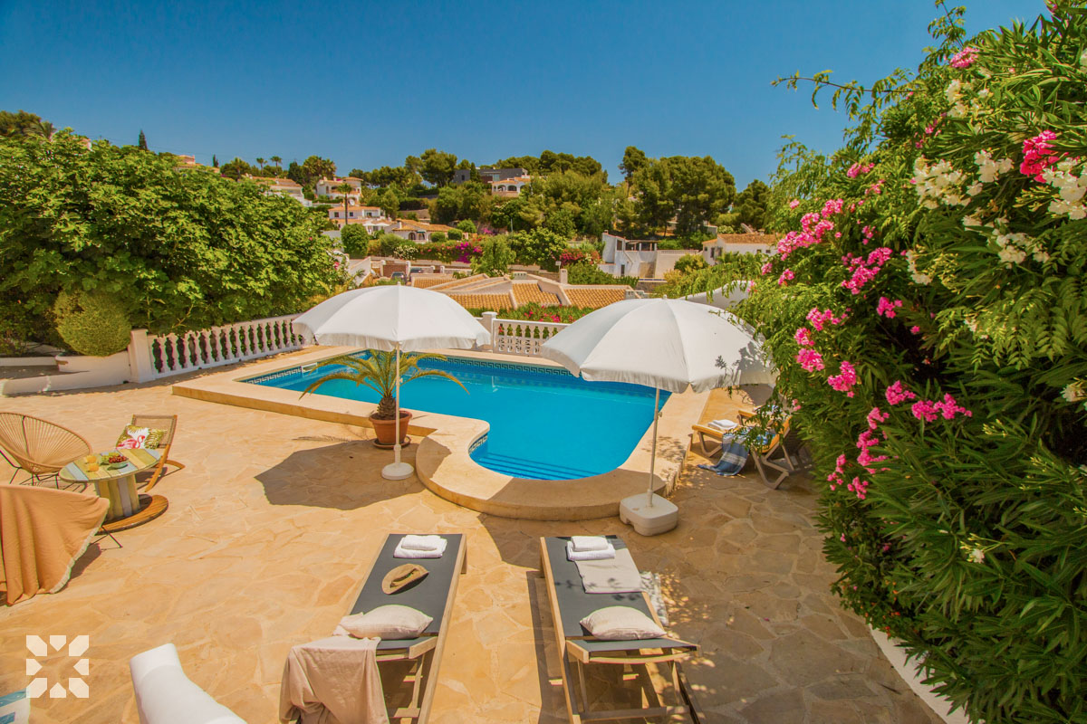 Imagen 8 - PURA VIDA