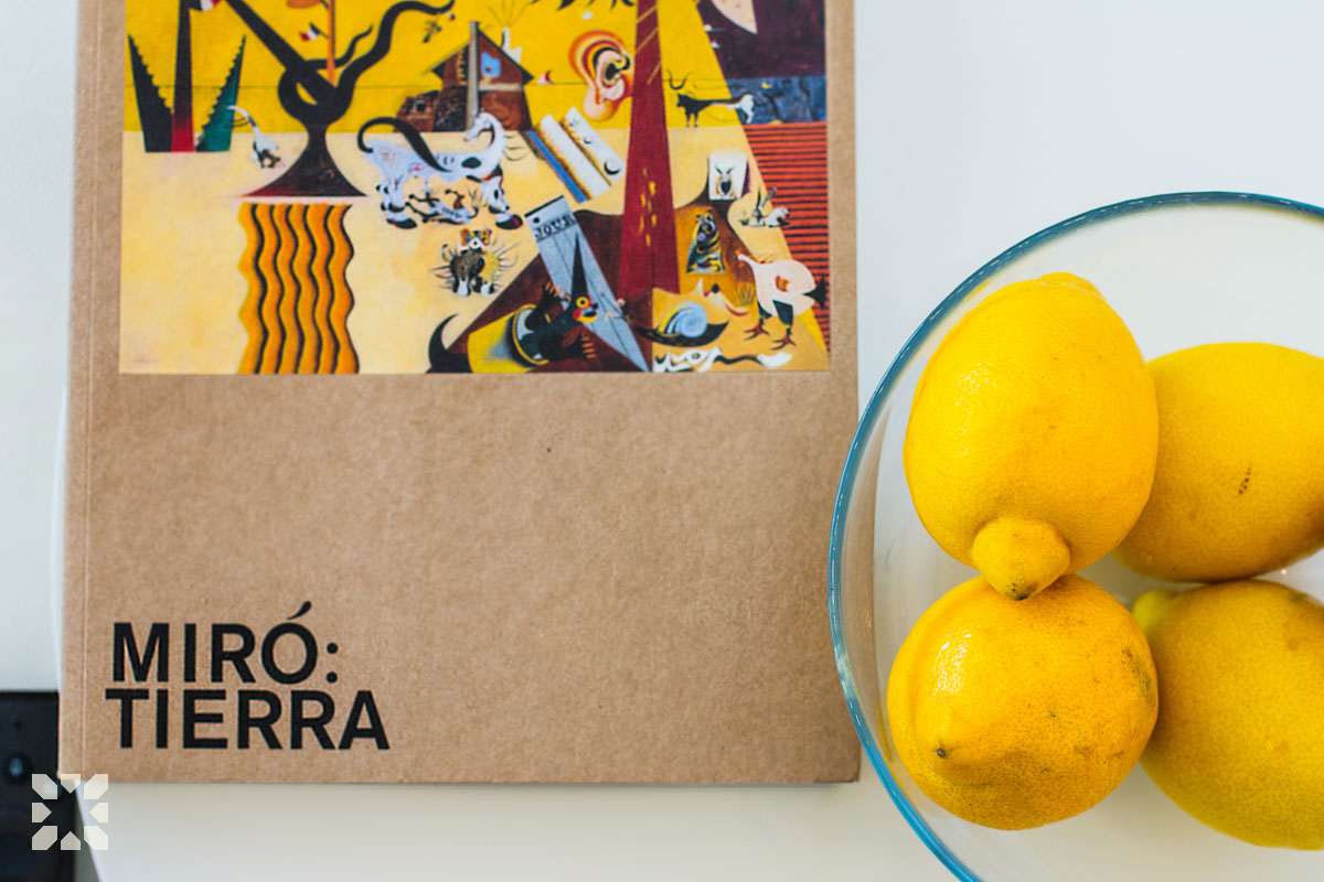 Imagen 31 - PURA VIDA