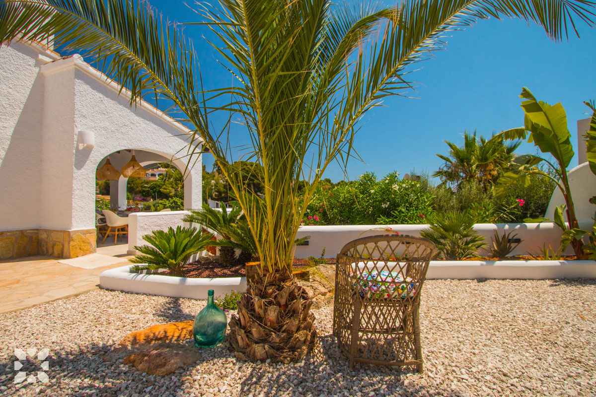 Imagen 43 - PURA VIDA