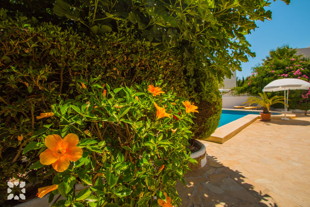 Imagen 47 - PURA VIDA