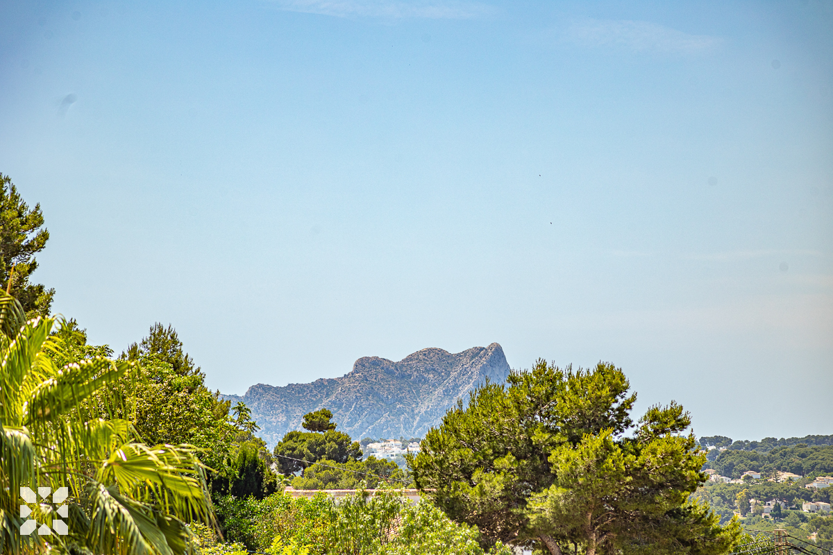 Imagen 10 - QUERENCIA