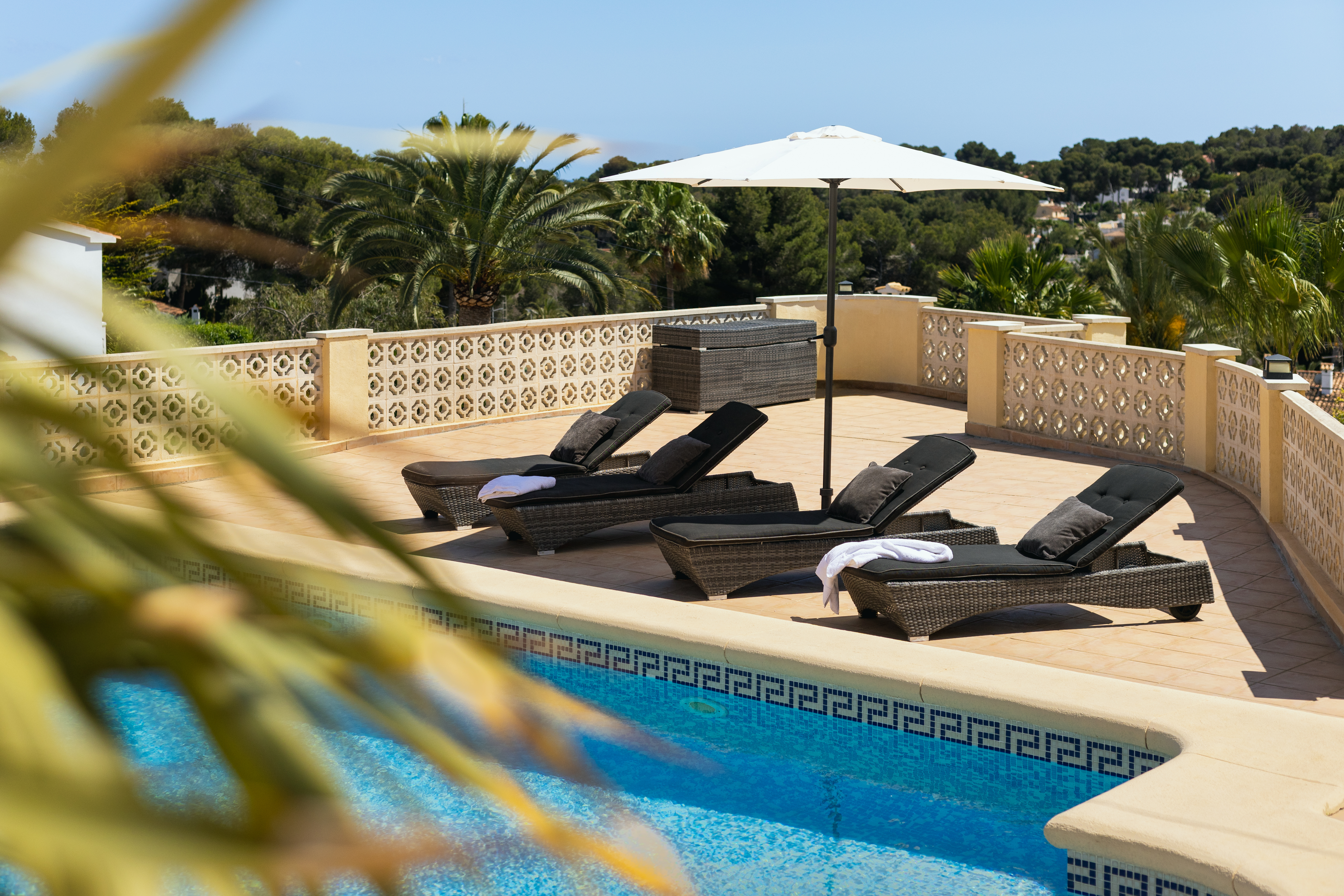 Imagen 1 - PALMS