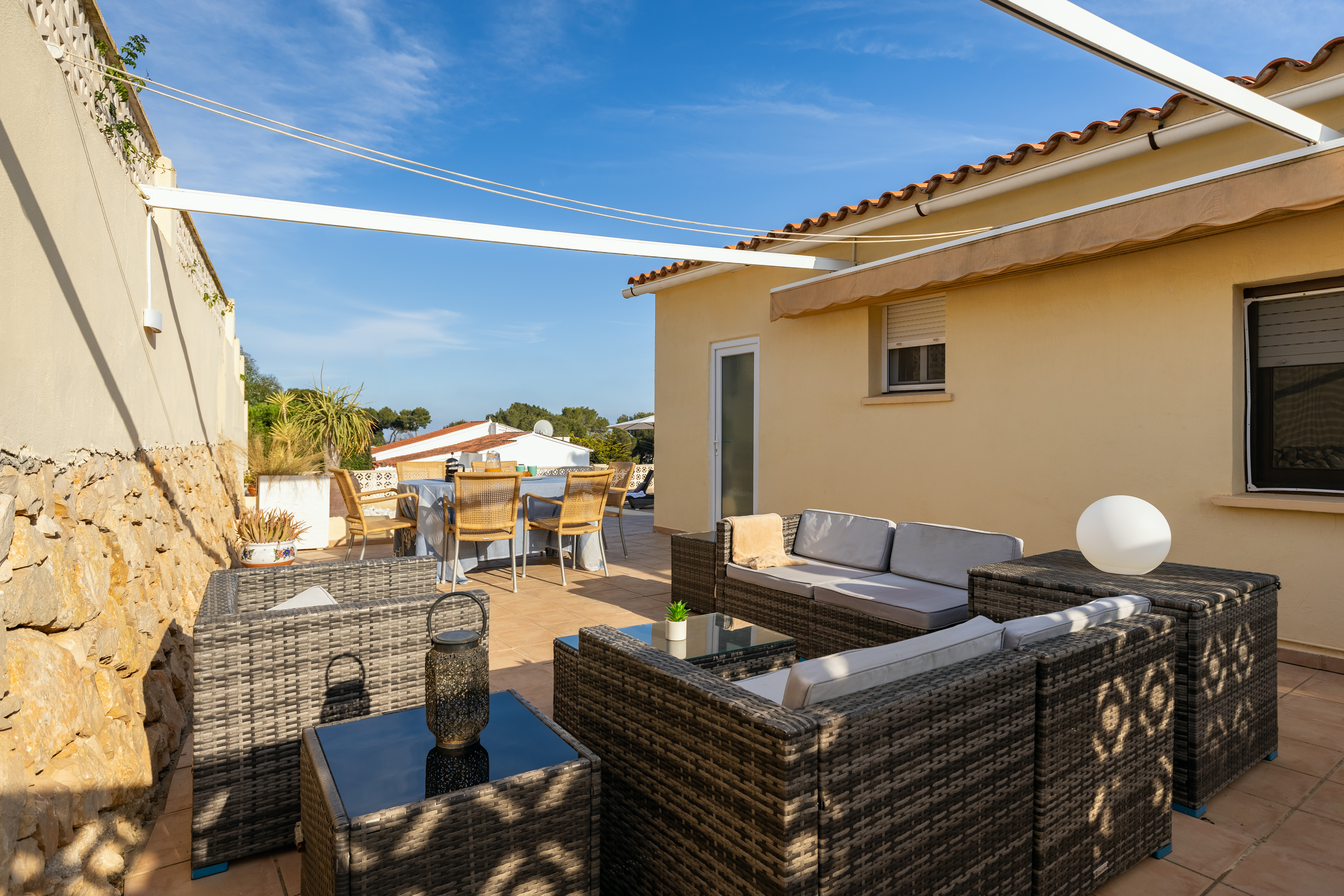 Imagen 4 - PALMS
