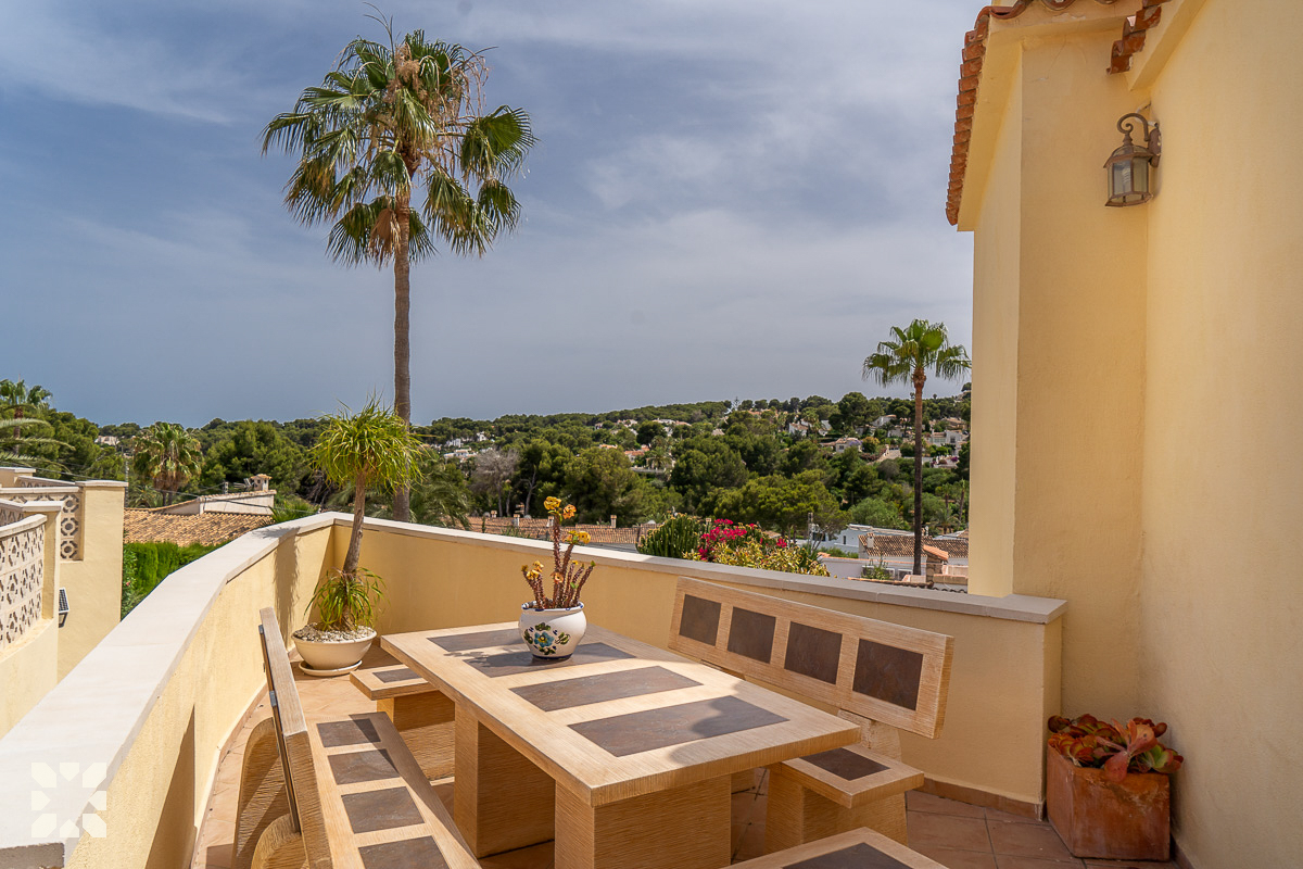 Imagen 8 - PALMS