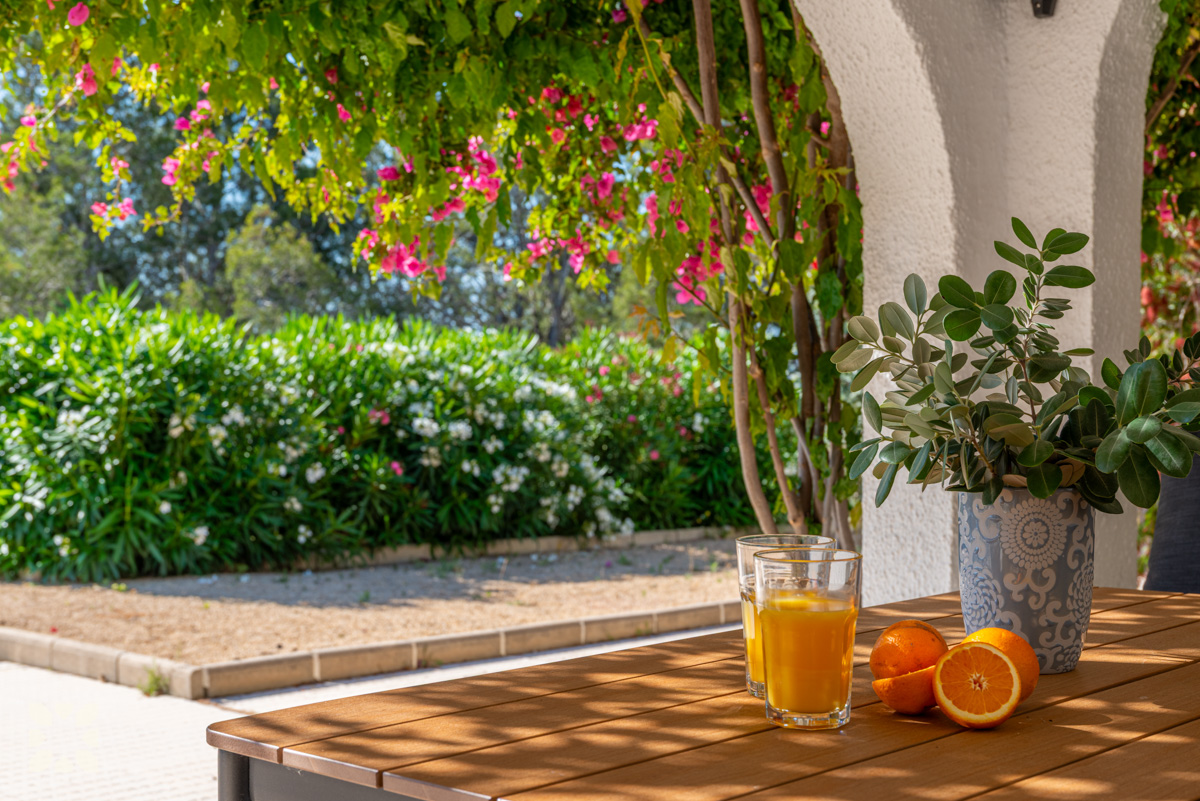 Imagen 4 - FUMEPACOON