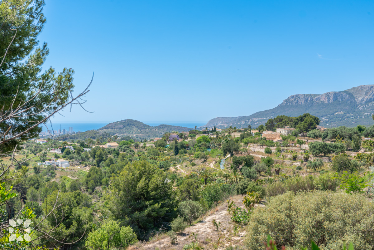 Imagen 20 - FUMEPACOON