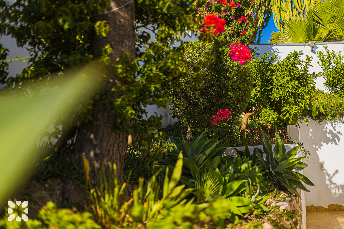 Imagen 22 - ROUILLON