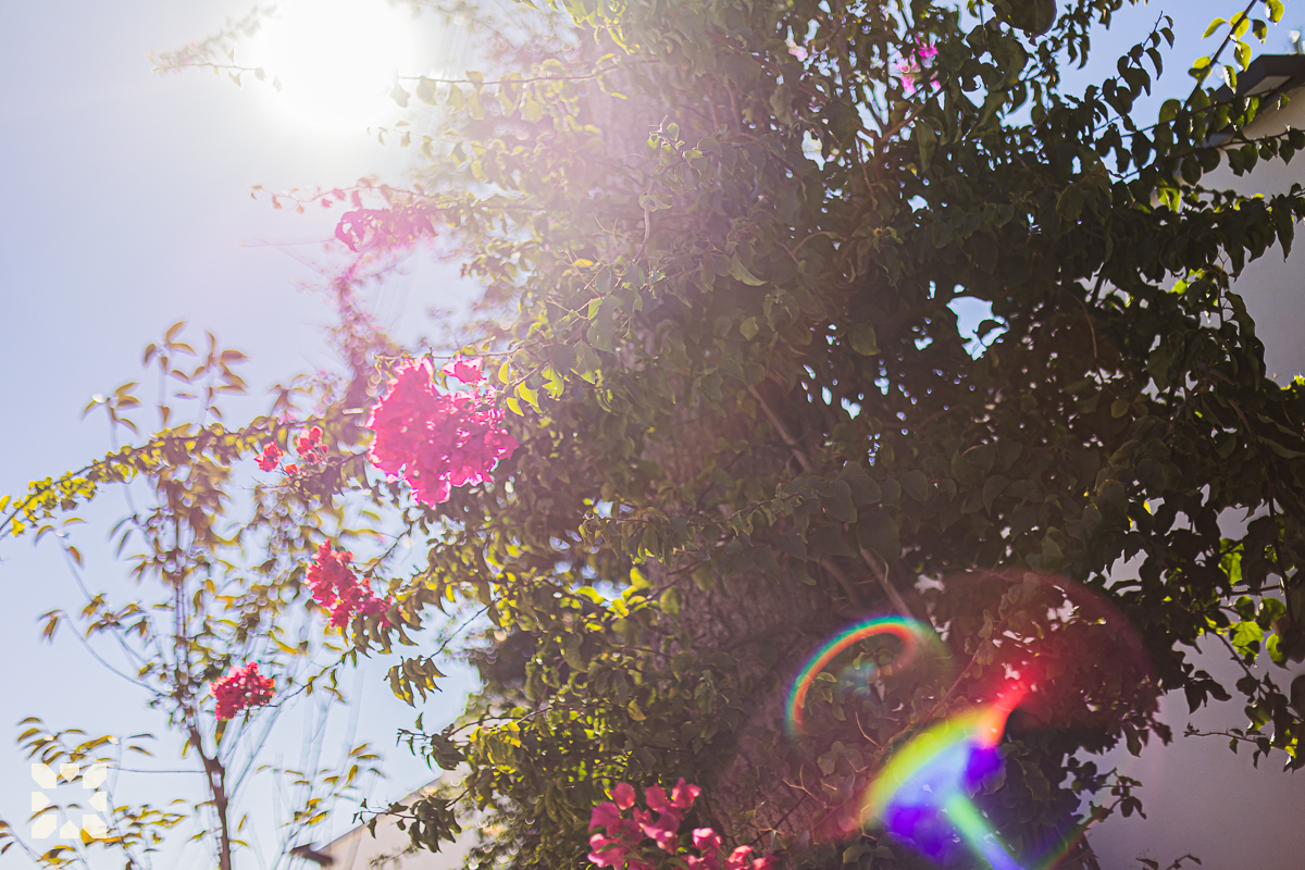 Imagen 24 - ROUILLON