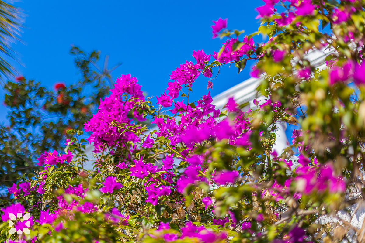 Imagen 23 - MORAIRA HILL