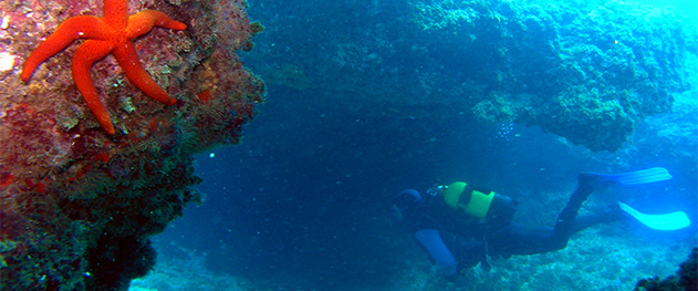 Turismo Moraira - Rutas de buceo en aguas de Moraira.