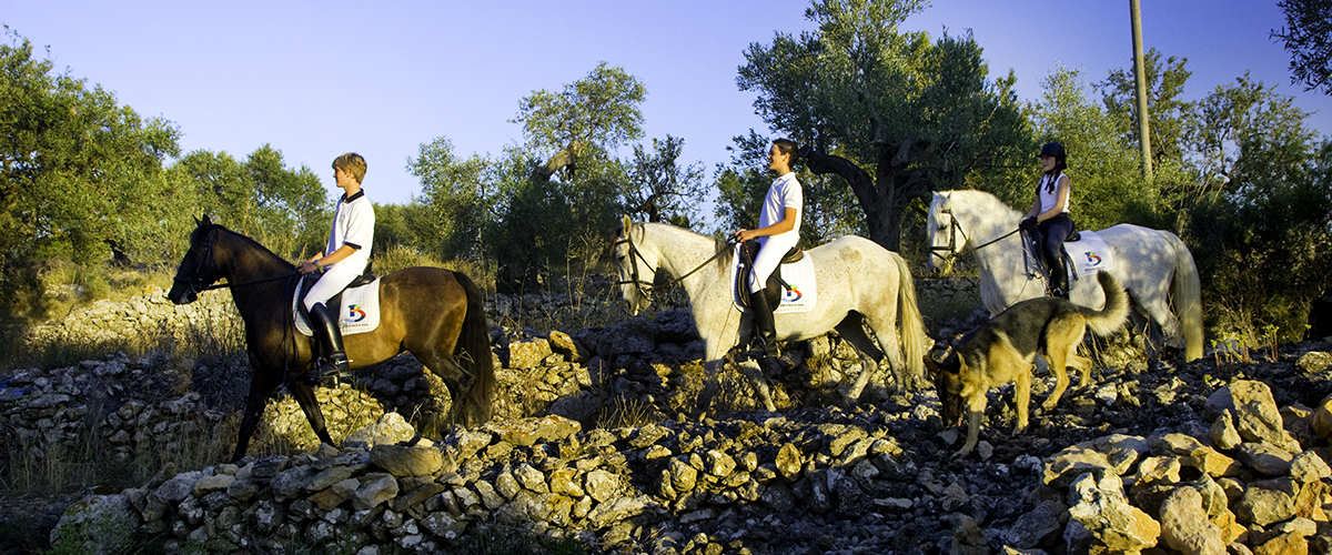 Abahana Villas - Rutas a caballo en Benissa.