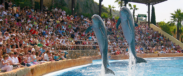 Turismo Benidorm - Parque infantil de Mundomar.