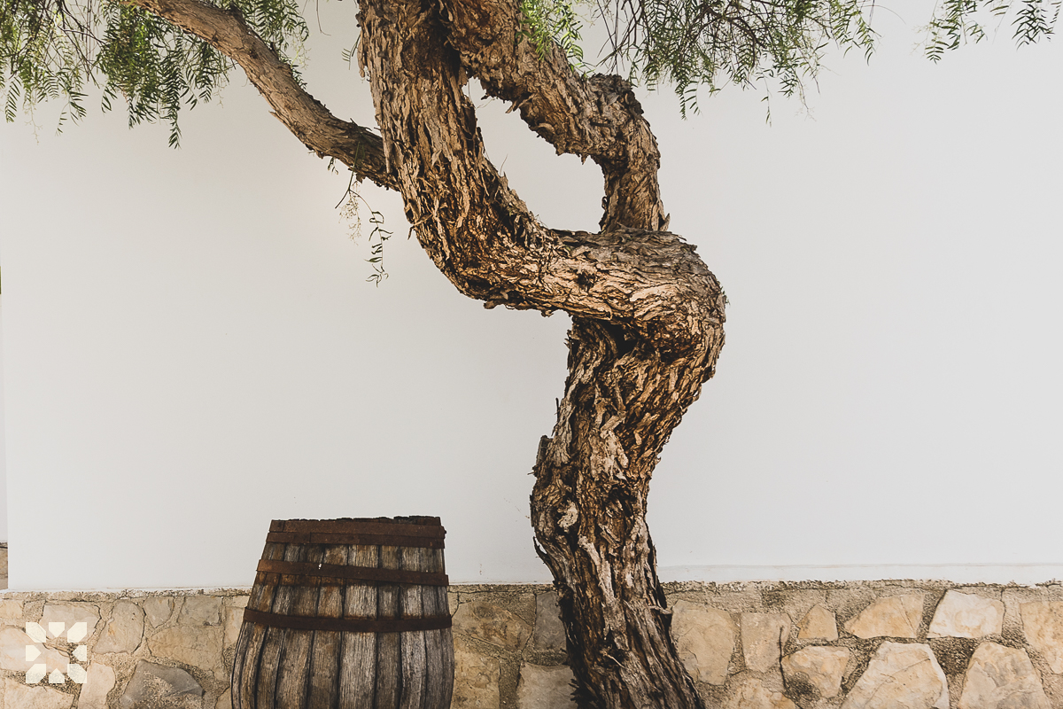 Imagen 20 - ATMOSFERA