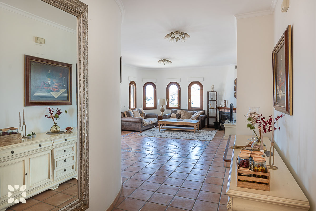 Imagen 10 - ORQUIDEA