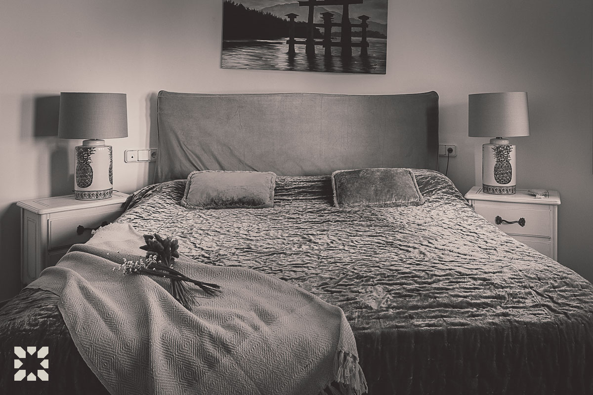 Imagen 11 - ORQUIDEA