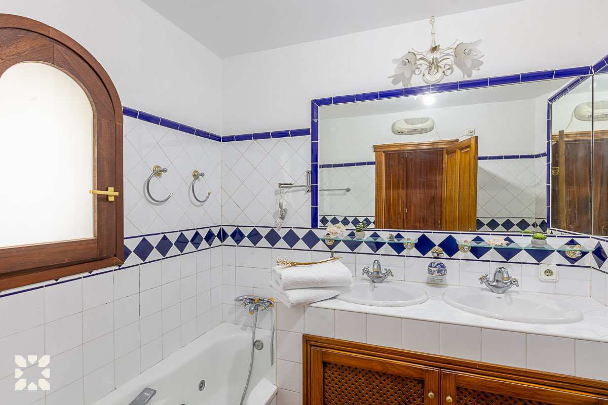 Imagen 12 - ORQUIDEA