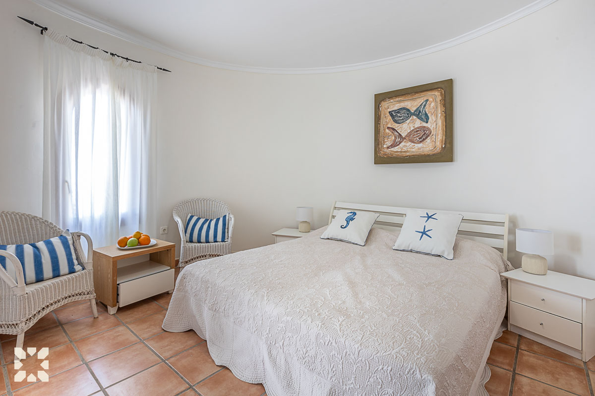 Imagen 13 - ORQUIDEA