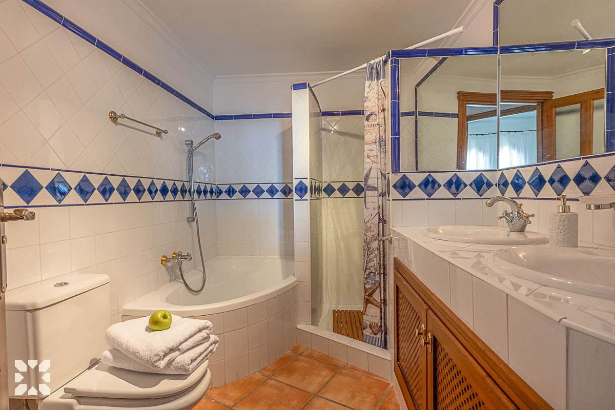 Imagen 14 - ORQUIDEA