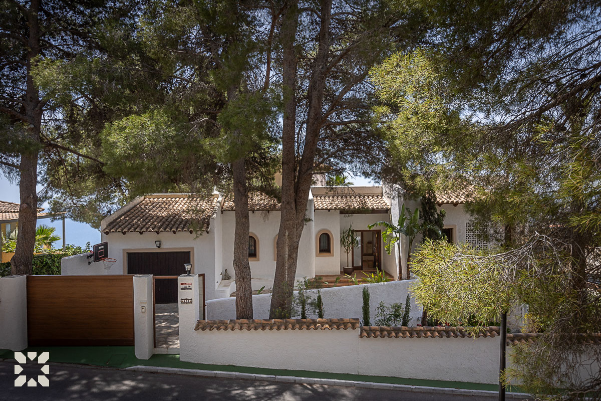 Imagen 16 - ORQUIDEA