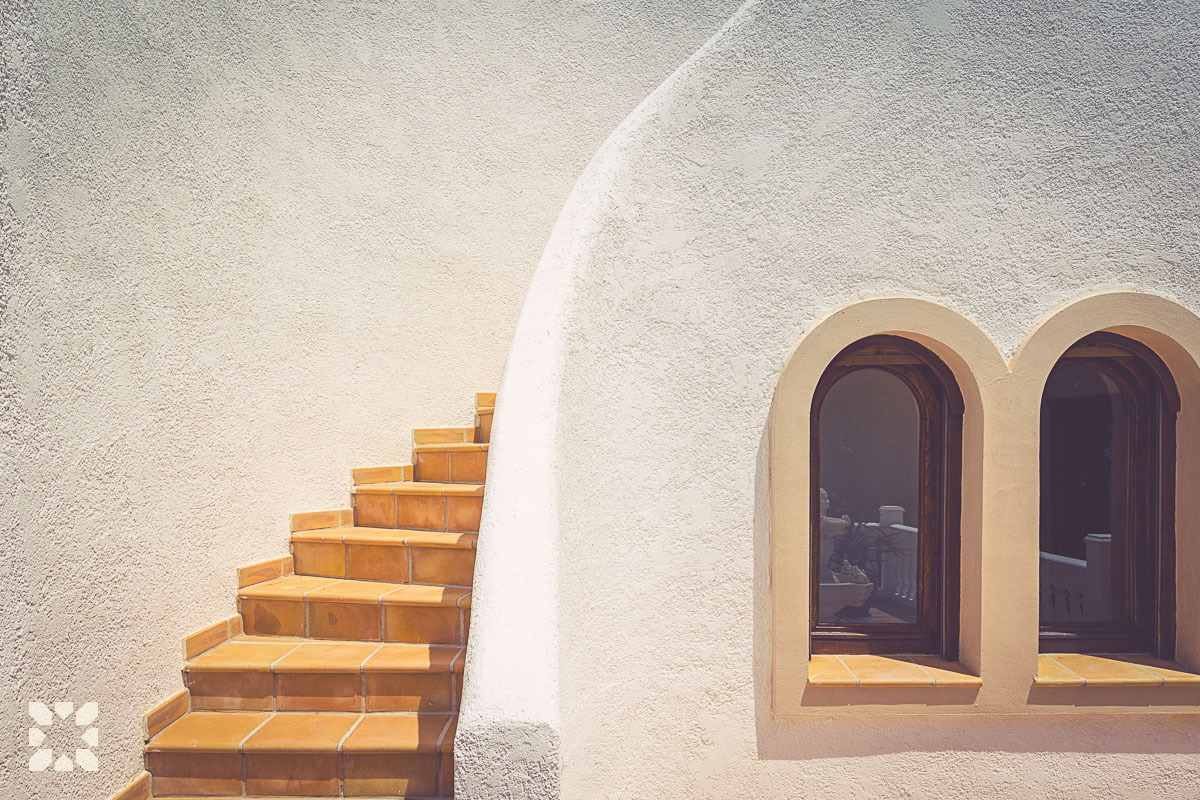 Imagen 17 - ORQUIDEA