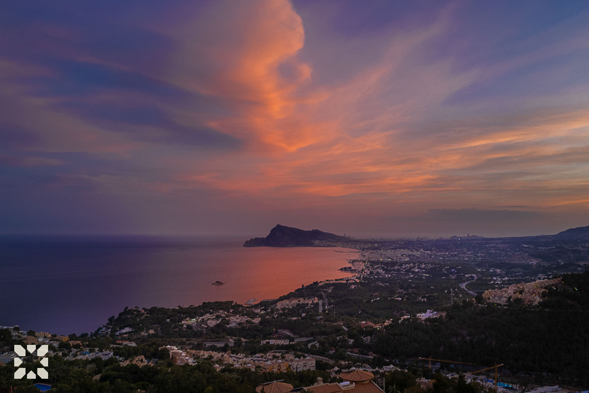 Imagen 22 - ORQUIDEA