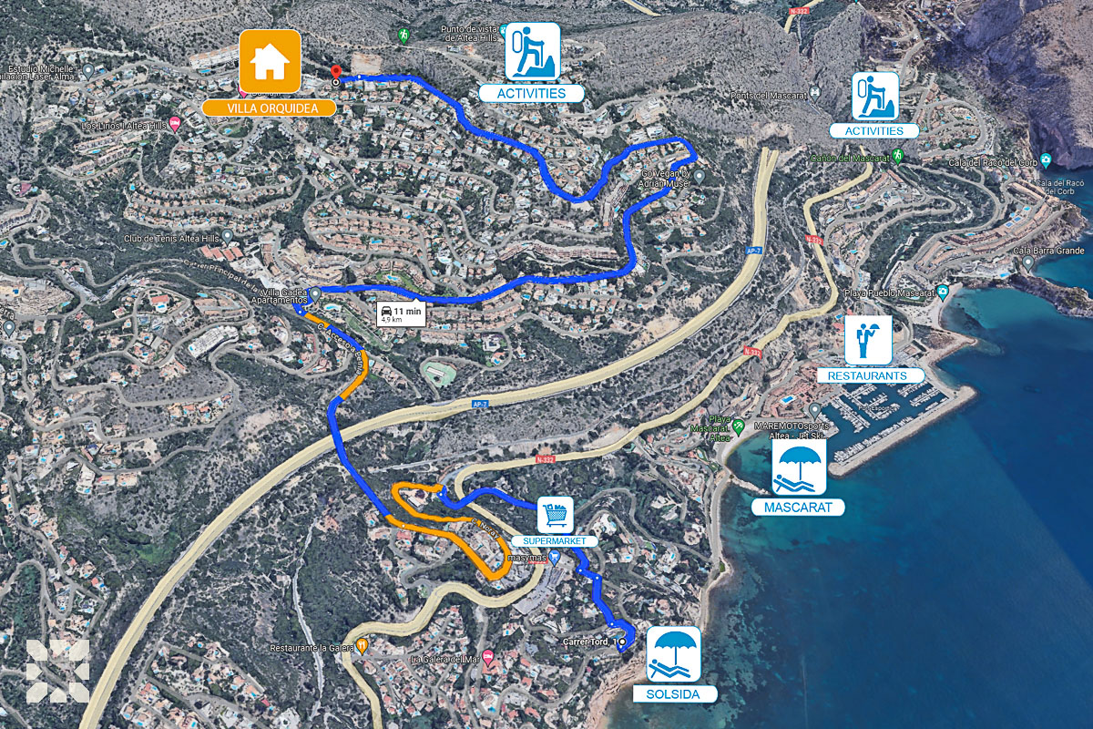 Imagen 23 - ORQUIDEA