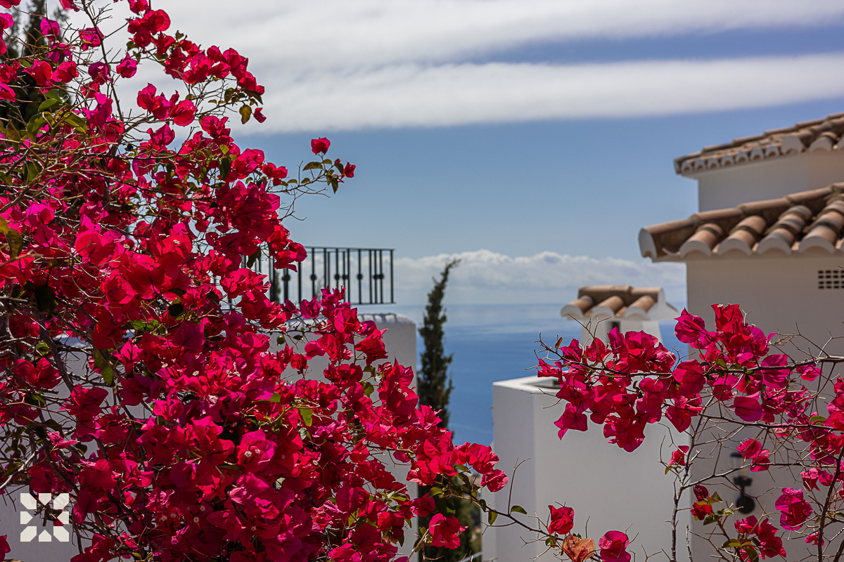 Imagen 22 - CASIOPEA