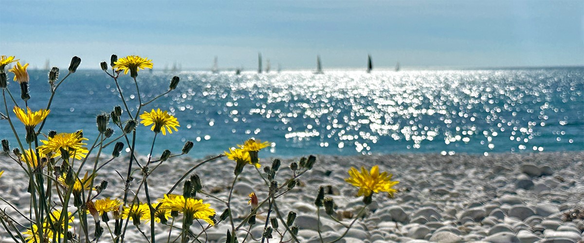 Abahana Villas - Sailing in the bay of Altea.