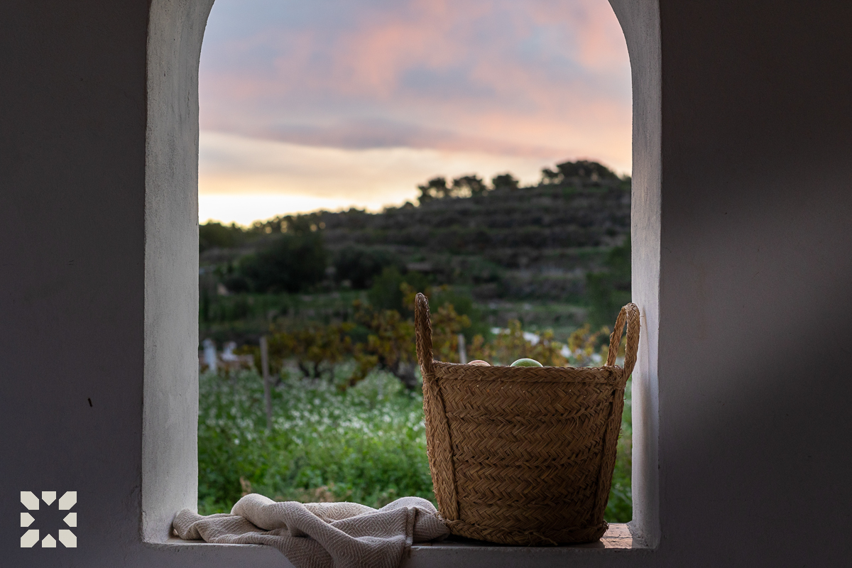 Imagen 21 - LA VINYA