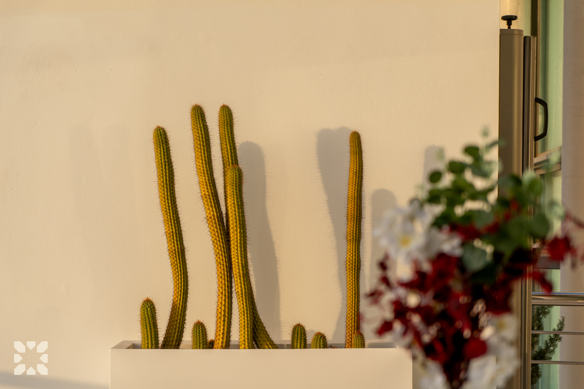 Imagen 20 - DESTELLO