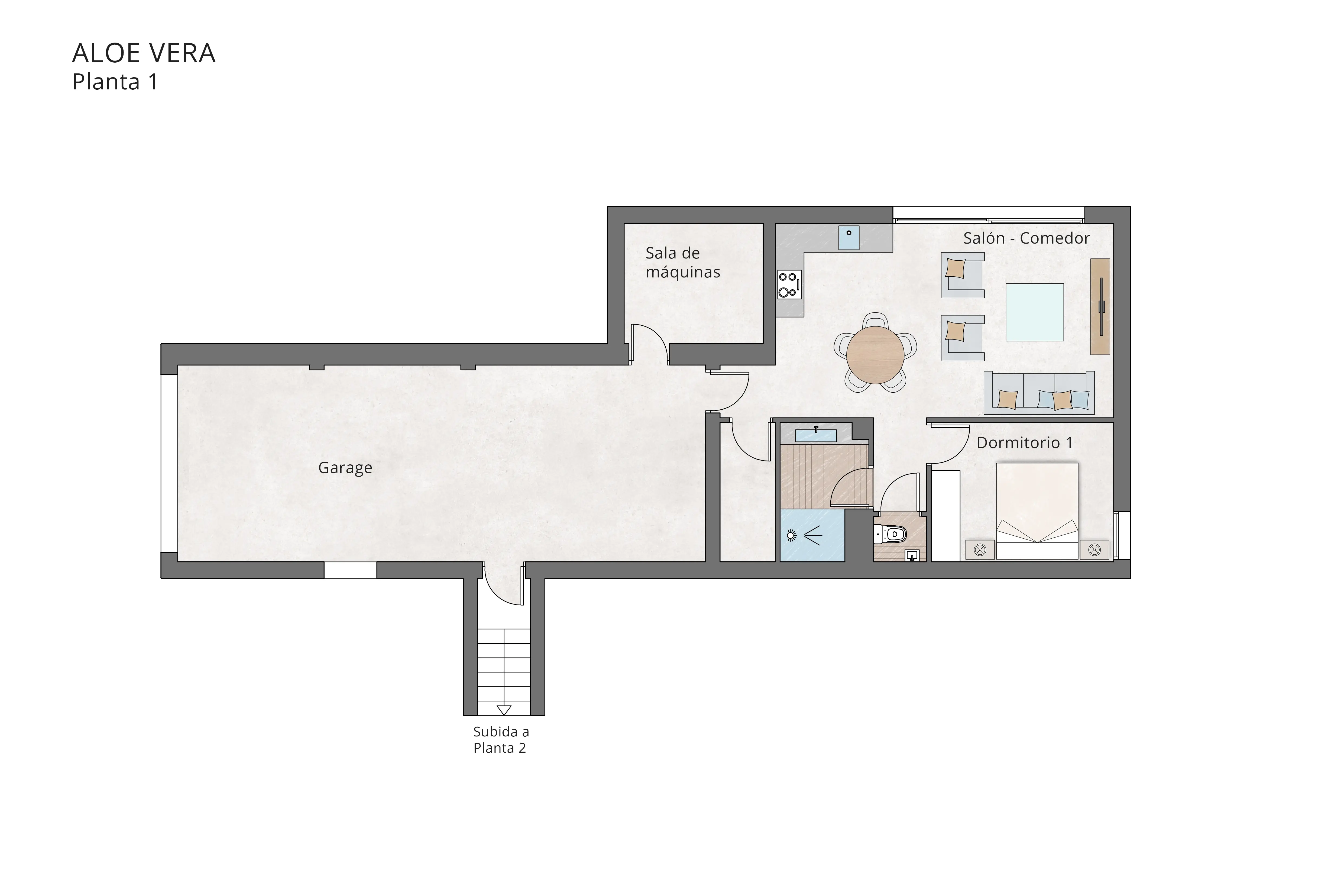 Fußboden Aloe Vera Planta 01