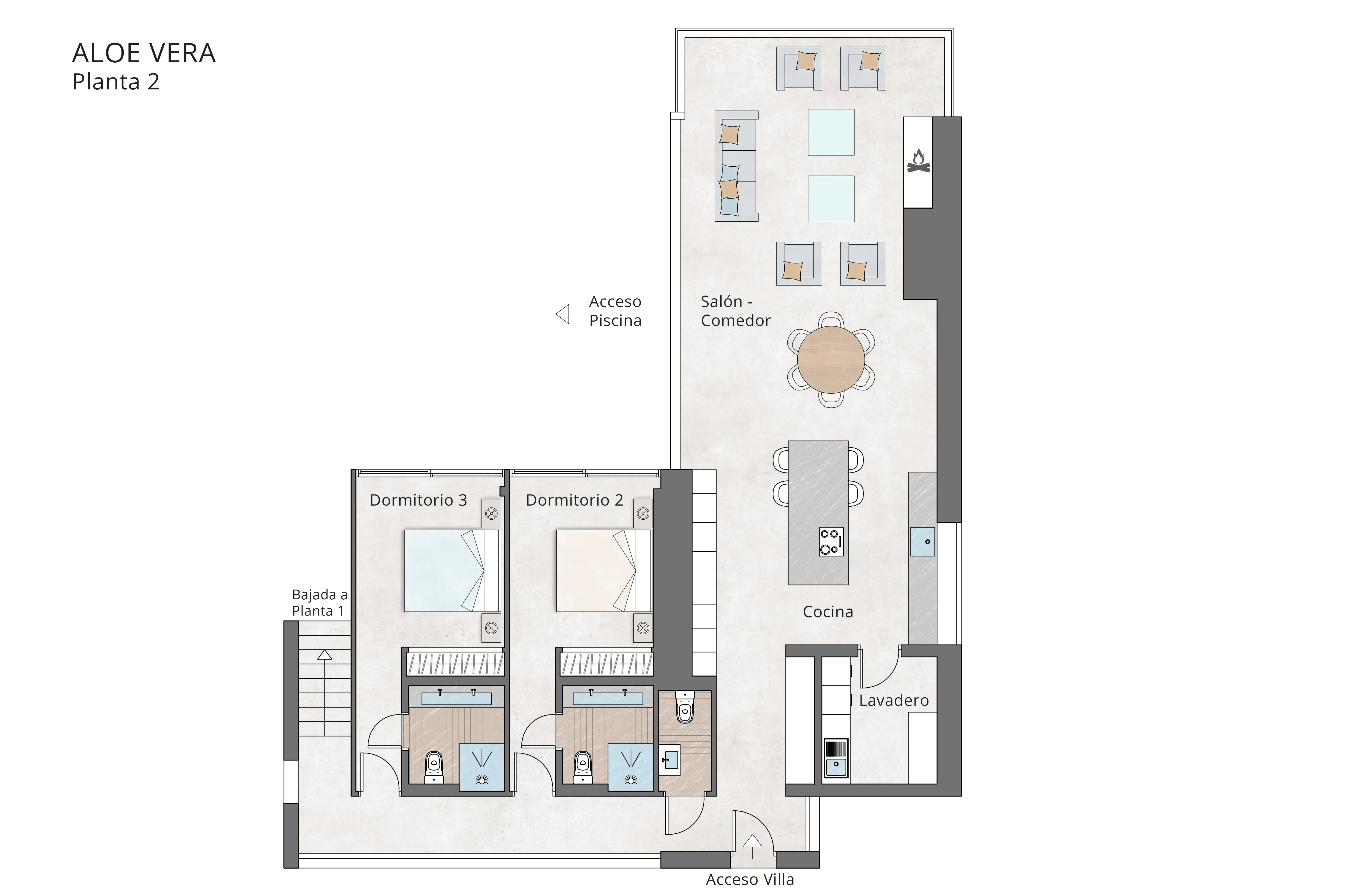 Fußboden Aloe Vera Planta 02